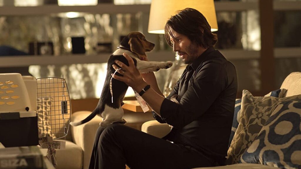 john wick de volta ao jogo filme cachorro keanu reeves foto divulgacao
